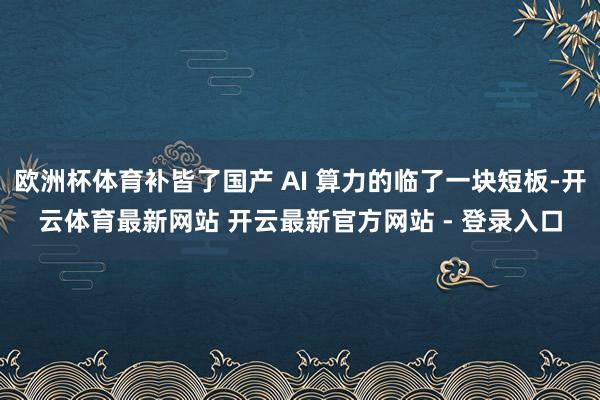 欧洲杯体育补皆了国产 AI 算力的临了一块短板-开云体育最新网站 开云最新官方网站 - 登录入口